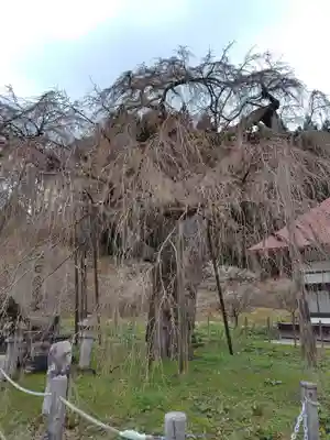 永泉寺(福島県)