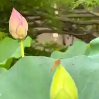 伊勢の国 四天王寺(三重県)