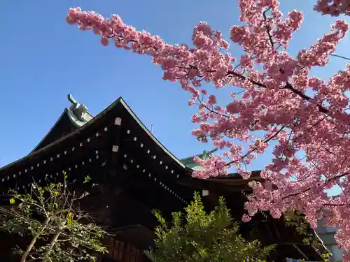 桜神宮(東京都)