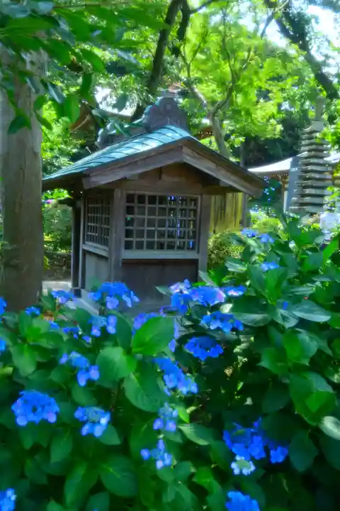 妙楽寺(神奈川県)