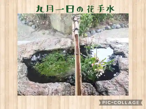 阿智神社の手水