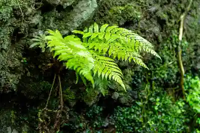 由良比女神社(島根県)