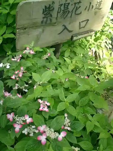 御霊神社の自然