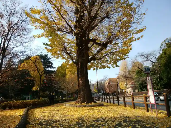 寛永寺(根本中堂)(東京都)