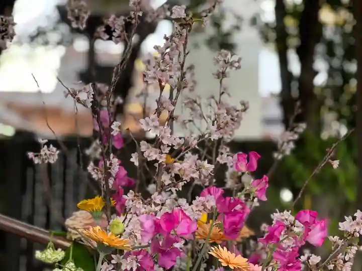 富知六所浅間神社の自然