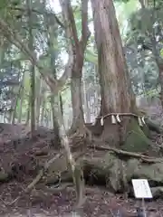 貴船神社の自然