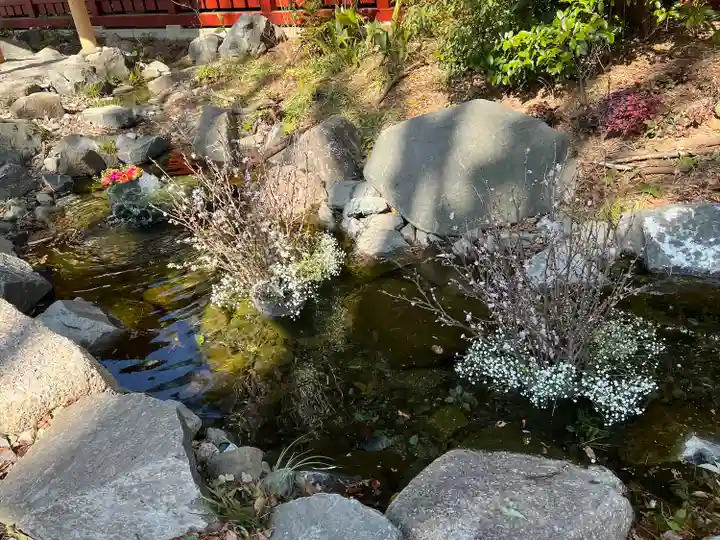 武蔵一宮氷川神社(埼玉県)