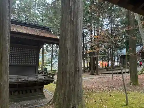 諏訪大社(長野県)