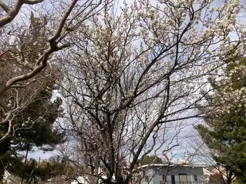 下長津田神社(神奈川県)