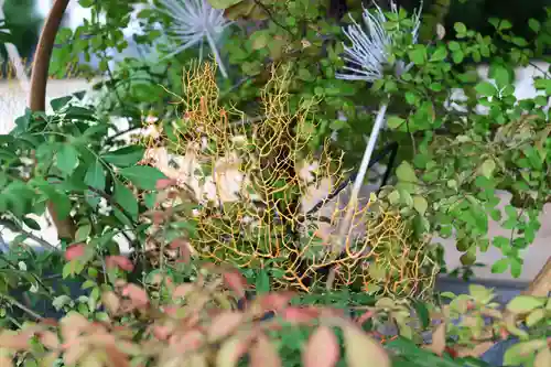 三津厳島神社(愛媛県)