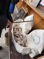 湯倉神社(北海道)