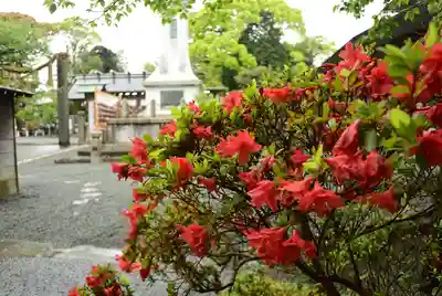 伊勢山皇大神宮(神奈川県)