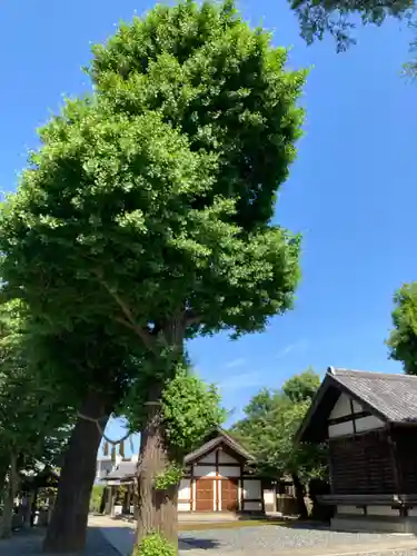 代田八幡神社(東京都)