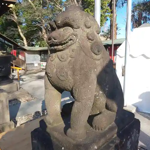 鎮守氷川神社の狛犬