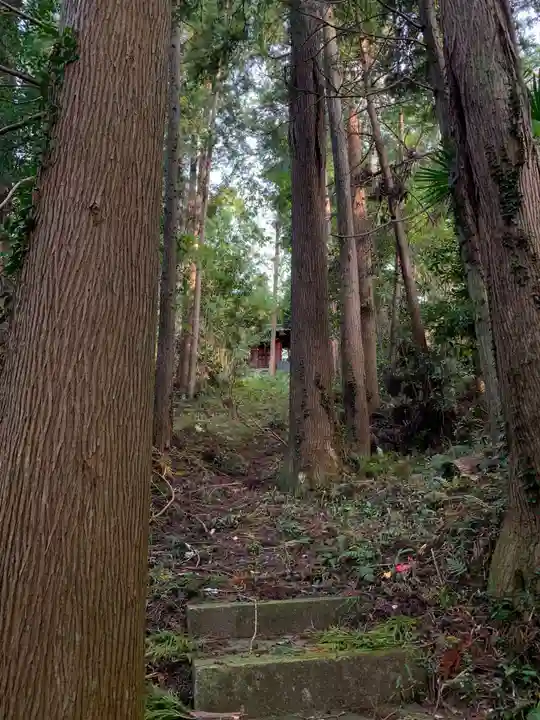 富士浅間大権現(千葉県)
