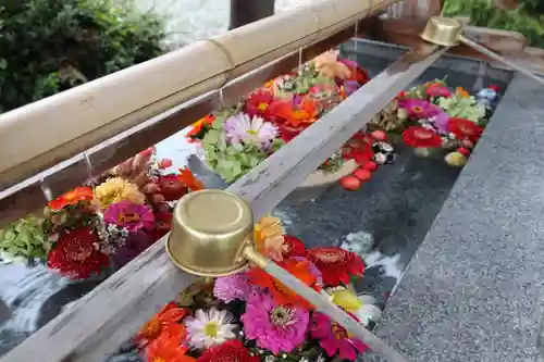 豊景神社の手水