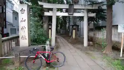 荻窪白山神社の鳥居