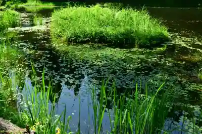 郡殿の池弁財天社(新潟県)