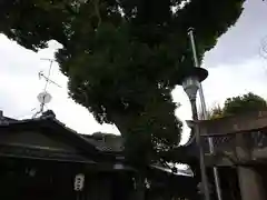 中井神社の建物その他