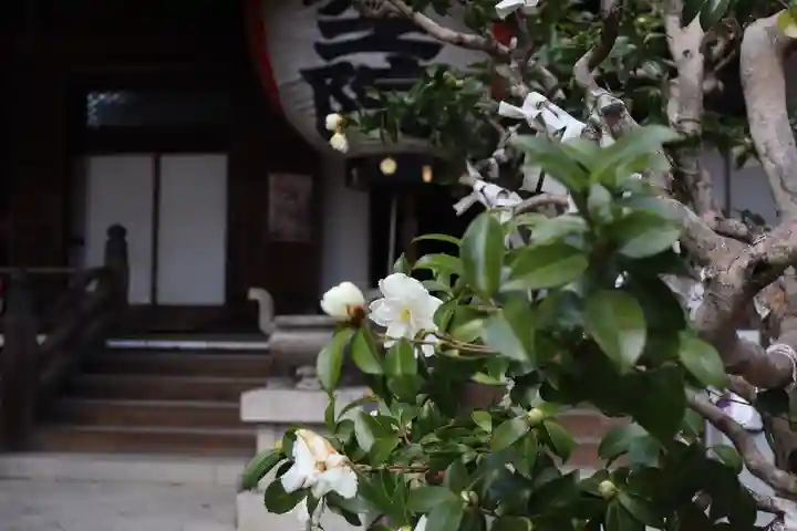 柳谷観音 楊谷寺のその他建物