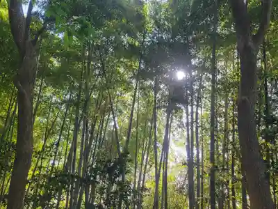 櫛玉比賣命神社(愛媛県)