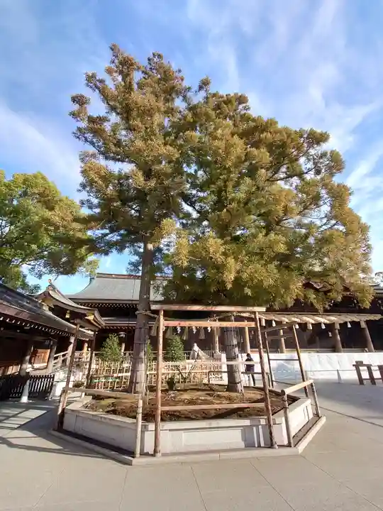寒川神社(神奈川県)