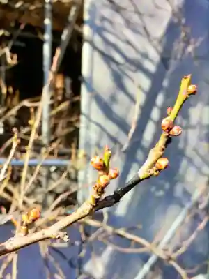 月窓寺(東京都)