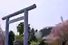 櫻木神社の鳥居