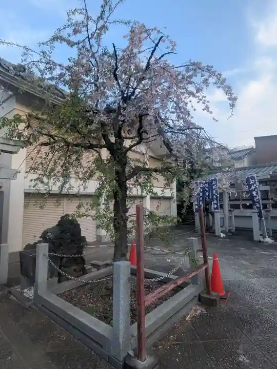 上千葉香取神社(東京都)
