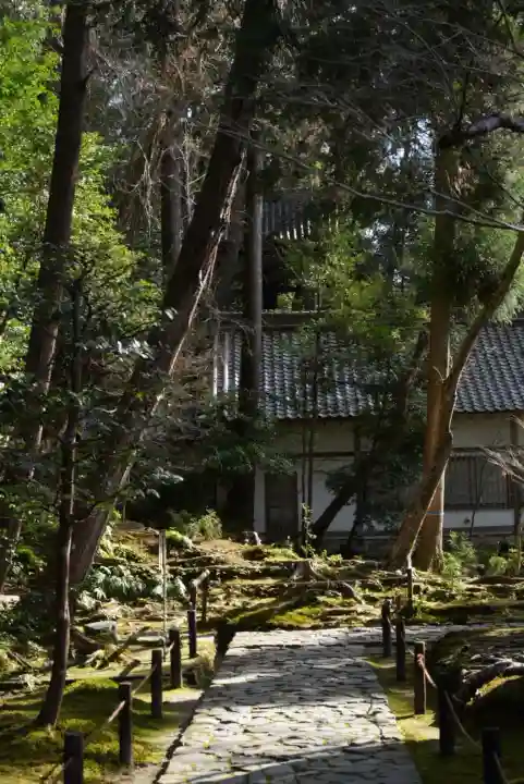 法然院の{uncategorized: "未分類", other: "その他", undefined: "問題あり", building: "その他建物", grave: "お墓", sacred_gate: "鳥居", guardian: "狛犬", statue: "像", buddha: "仏像", history: "歴史", nature: "自然", garden: "庭園", animal: "動物", pagoda: "塔", temizu: "手水舎", mountain_gate: "山門・神門", sanctuary: "本殿・本堂", subordinate: "末社・摂社", art: "芸術", scenery: "景色", jizo: "地蔵", ema: "絵馬", goshuin: "御朱印", omikuji: "おみくじ", items: "授与品その他", amulet: "お守り", goshuincho: "御朱印帳", eats: "食事", festival: "お祭り", votive_dance: "神楽", shichigosan: "七五三参", wedding: "結婚式", experience: "体験その他", initially: "初詣", around: "周辺", anti_infection: "感染症対策"}