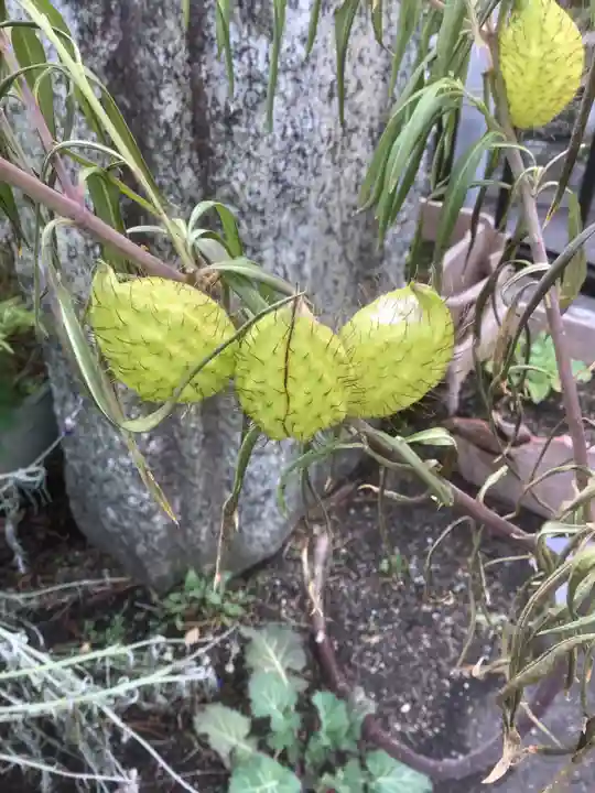 極楽寺(愛知県)