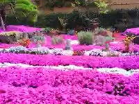 寿量山 速成寺の自然