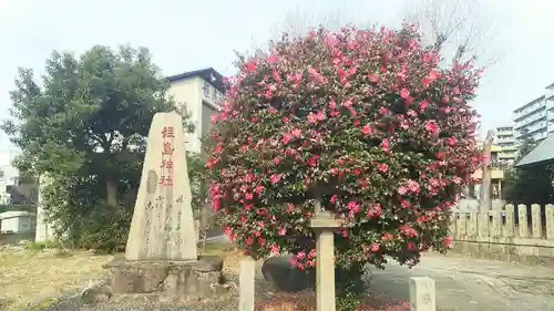 姫嶋神社の自然