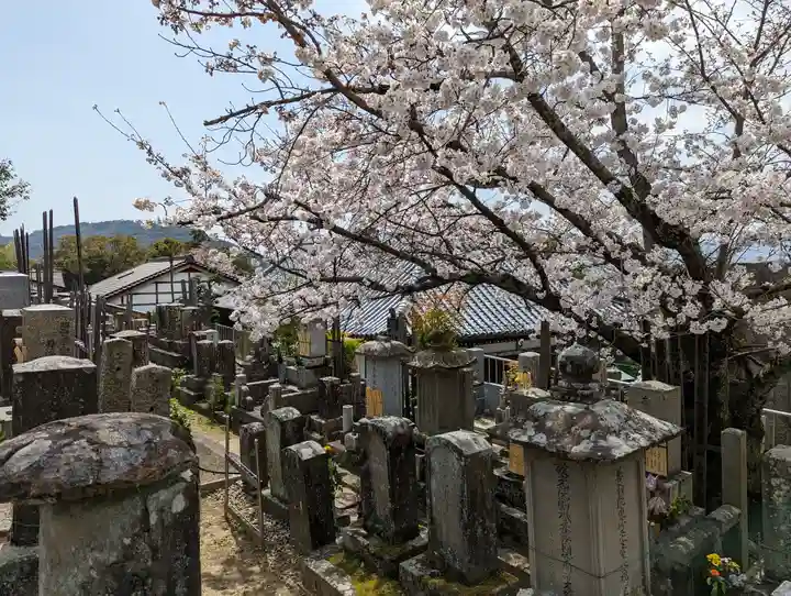 くろ谷 金戒光明寺(京都府)