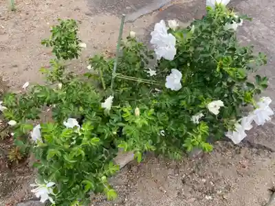 宝光寺(北海道)