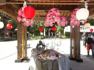 出雲大社相模分祠の手水舎