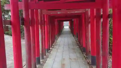 青山御幣稲荷神社の鳥居