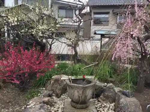 光受寺の手水