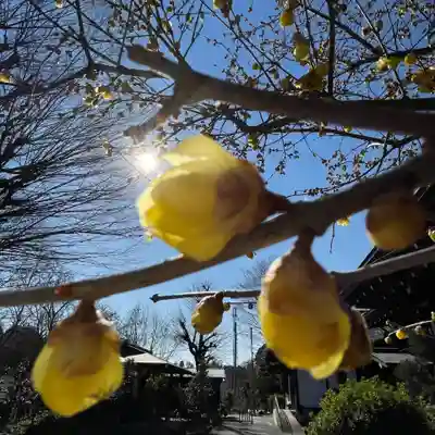 横浜　西方寺(神奈川県)
