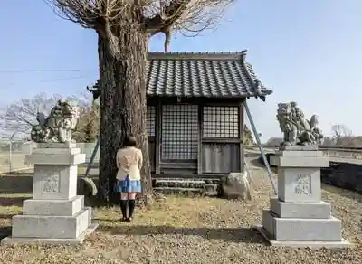 神明神社 (字小坪)の本殿