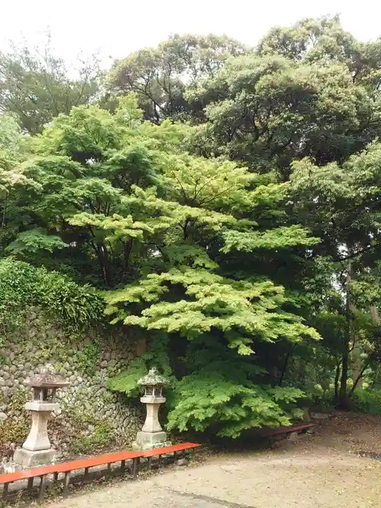 目の霊山 油山寺の自然