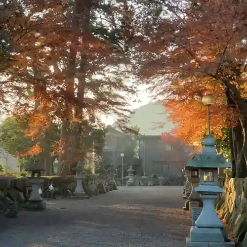 沙沙貴神社の自然