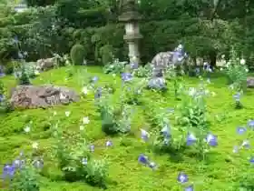 天得院(京都府)