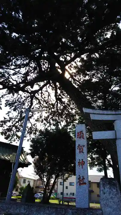 須賀神社の自然