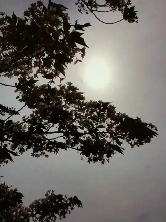 福蔵院(東京都)