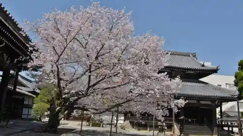 本法寺のその他建物