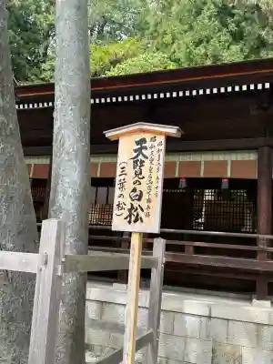 諏訪大社下社秋宮(長野県)