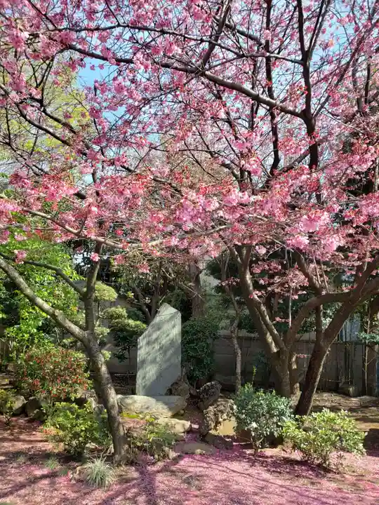 新井薬師(梅照院)の自然