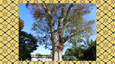 素鵞神社(茨城県)