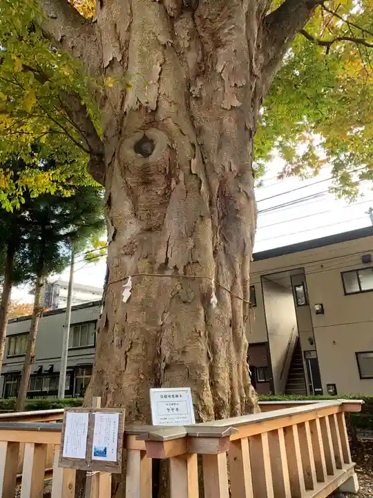 住吉神社のその他建物